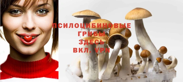 соль ск Алексин