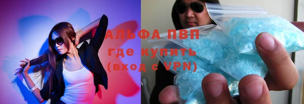 крисы Покачи