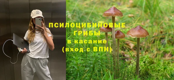 крисы Покачи